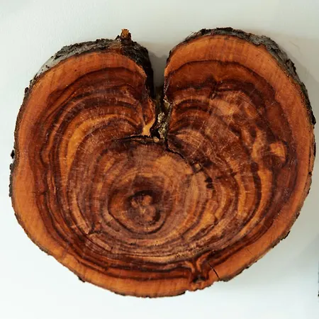 Oreh - орех ヴィラ *